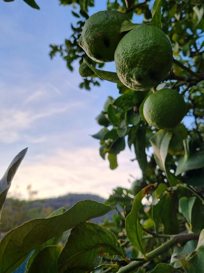 坎波罗索Dimora Pepatio公寓 外观 照片